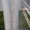 湖北纏繞膜的價格,武漢拉伸膜,纏繞膜批發及生產廠家